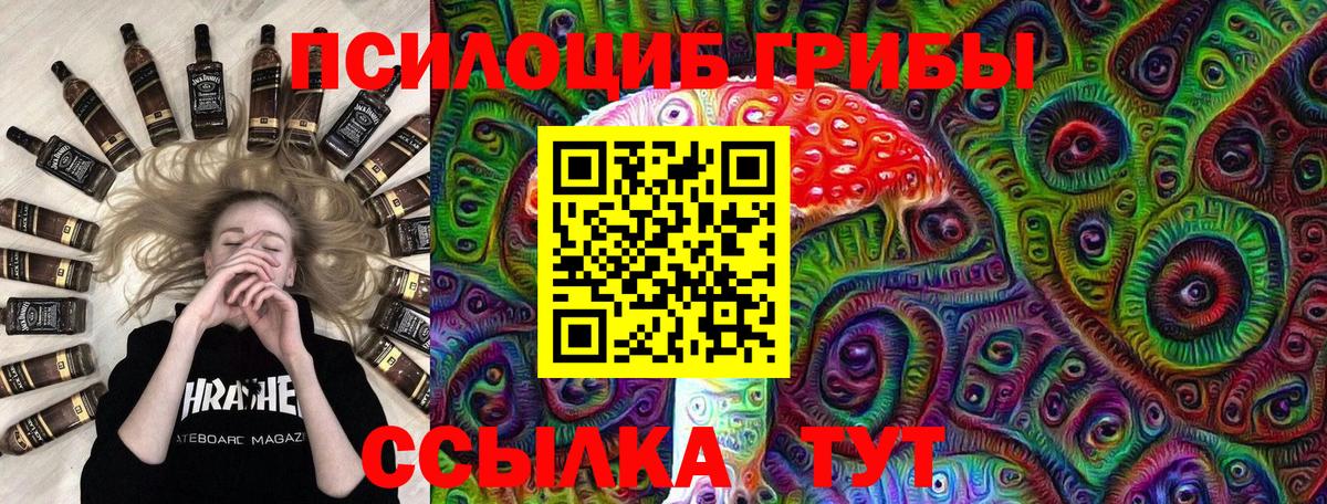 Ржев  Псилоцибиновые грибы Cubensis  Вход с VPN  Галлюциногенные грибы MAGIC MUSHROOMS 