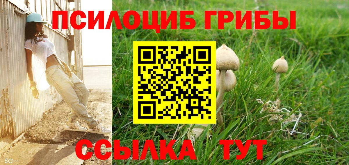 Галлюциногенные грибы MAGIC MUSHROOMS Ржев